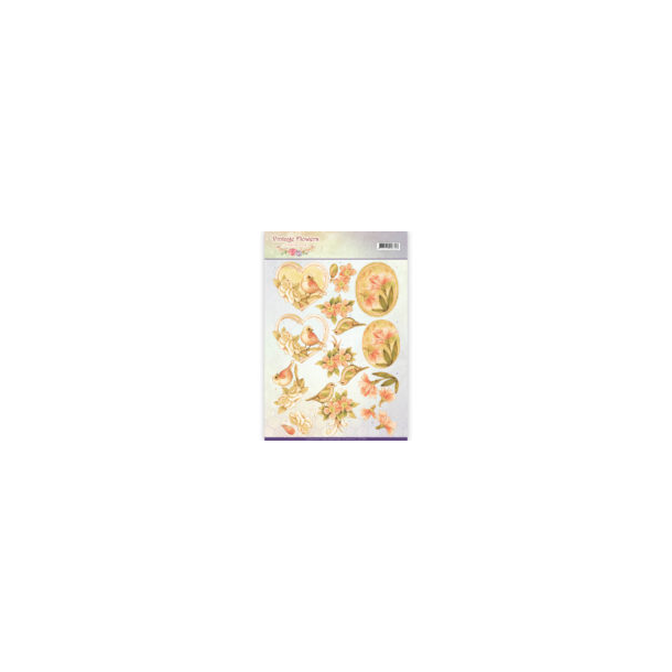 3D Jeanine`s Orangegule fugle og blomster